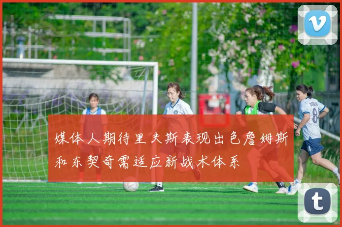 媒体人期待里夫斯表现出色詹姆斯和东契奇需适应新战术体系