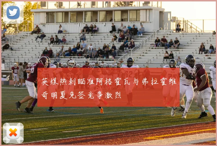 英媒热刺瞄准阿格霍瓦与弗拉霍维奇明夏免签竞争激烈