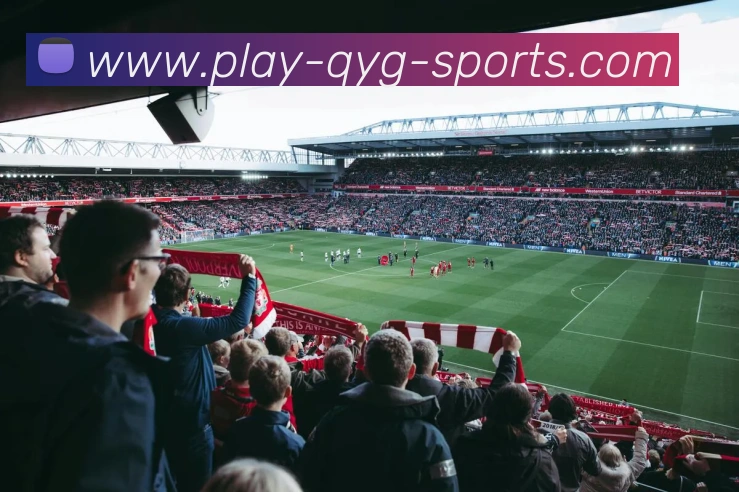 奇异果体育服务体系